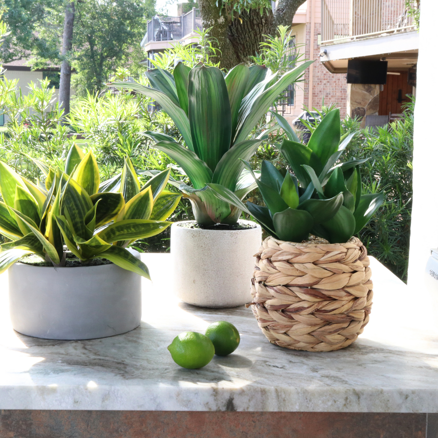 Faux Leafy Plant in Woven Planter
