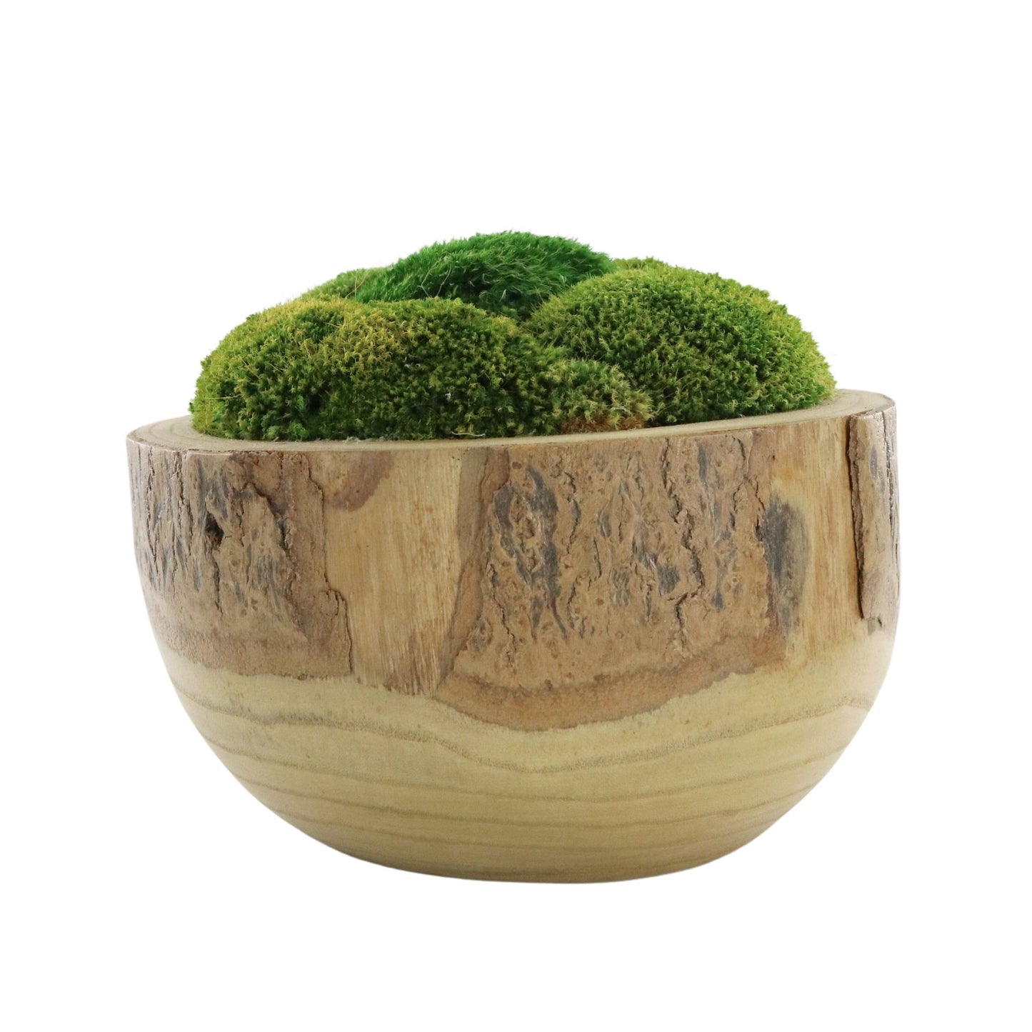 Faux Potted Moss
