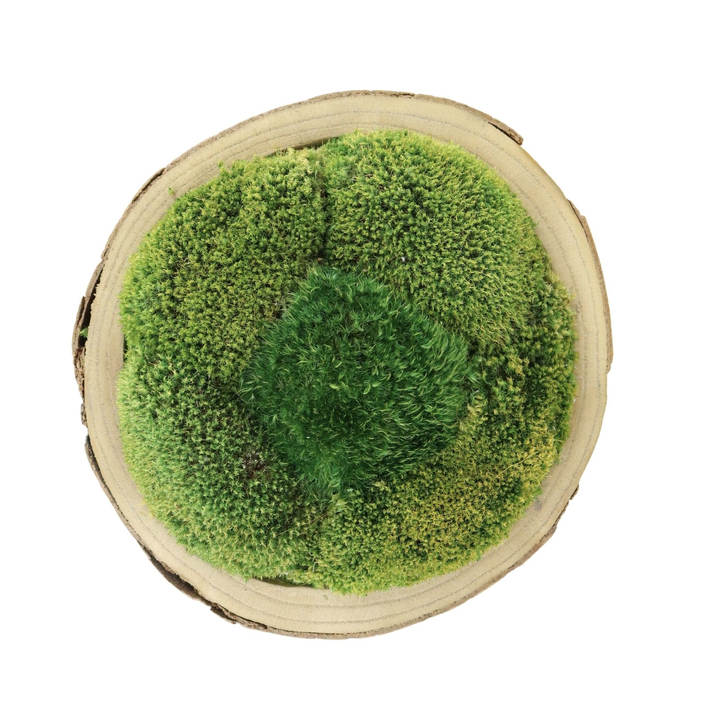 Faux Potted Moss