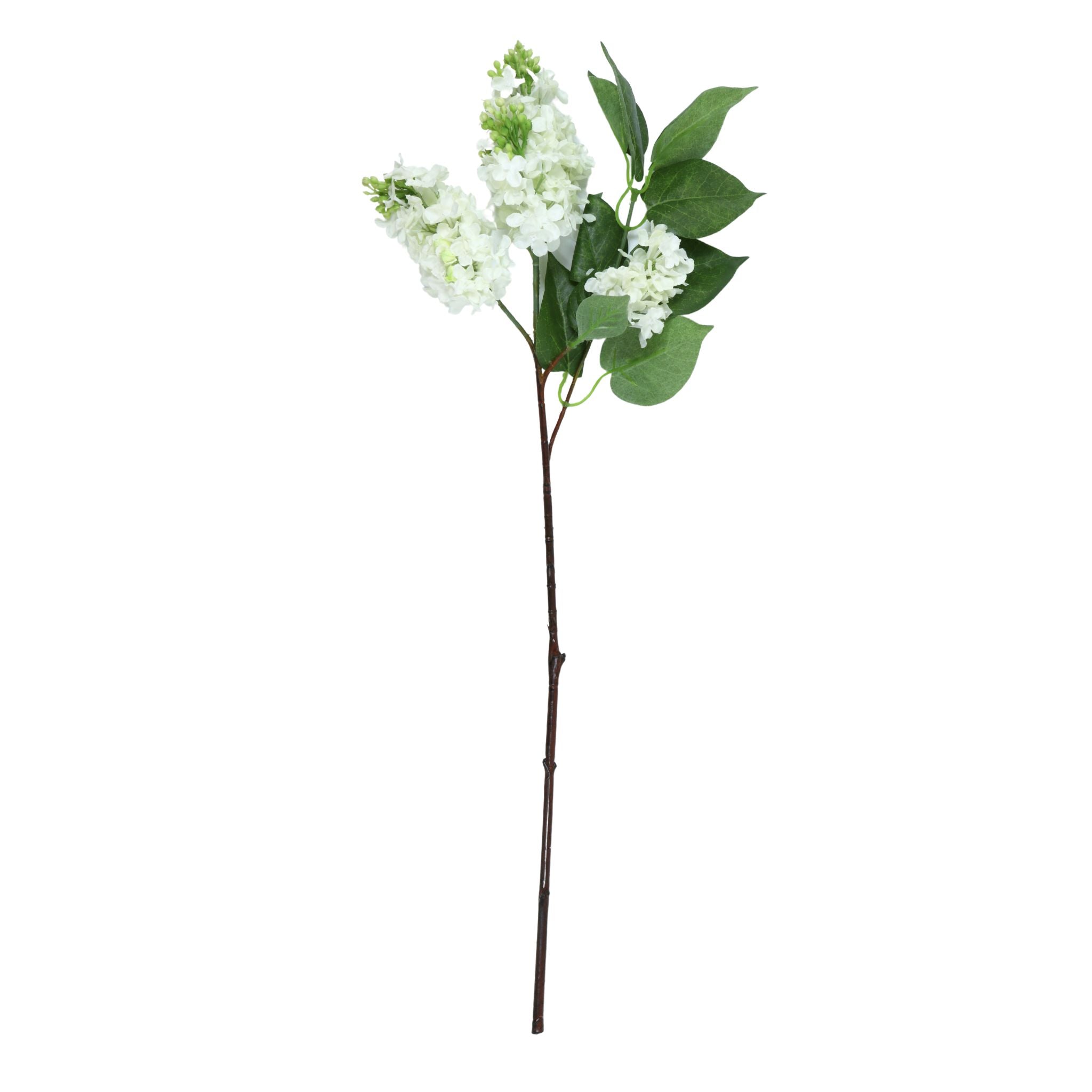 Long Stem Petite White Berry Spray – Purple Rose Home