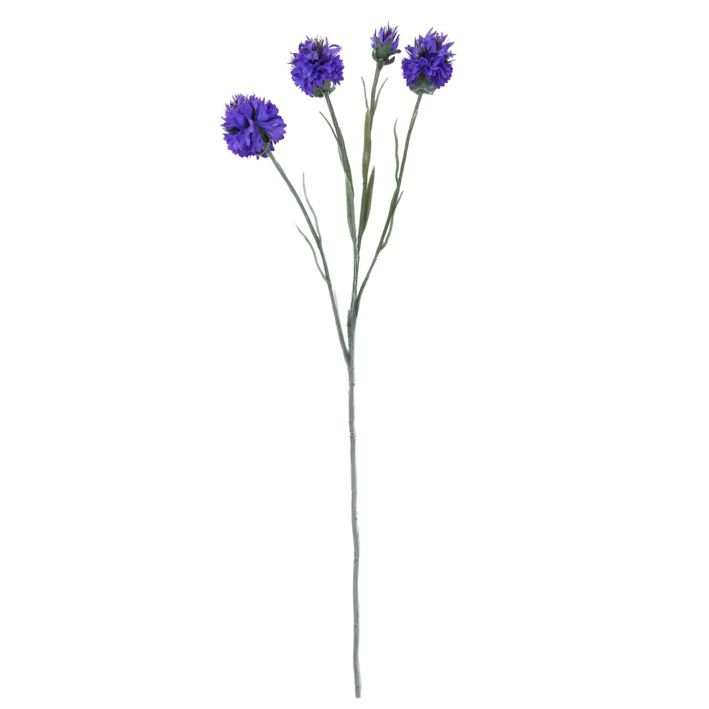 24" Purple Cornflower Spray