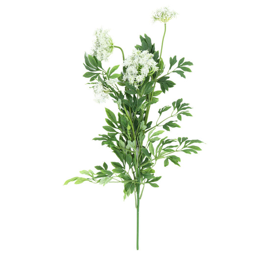 35.5" Queen Anne's Lace