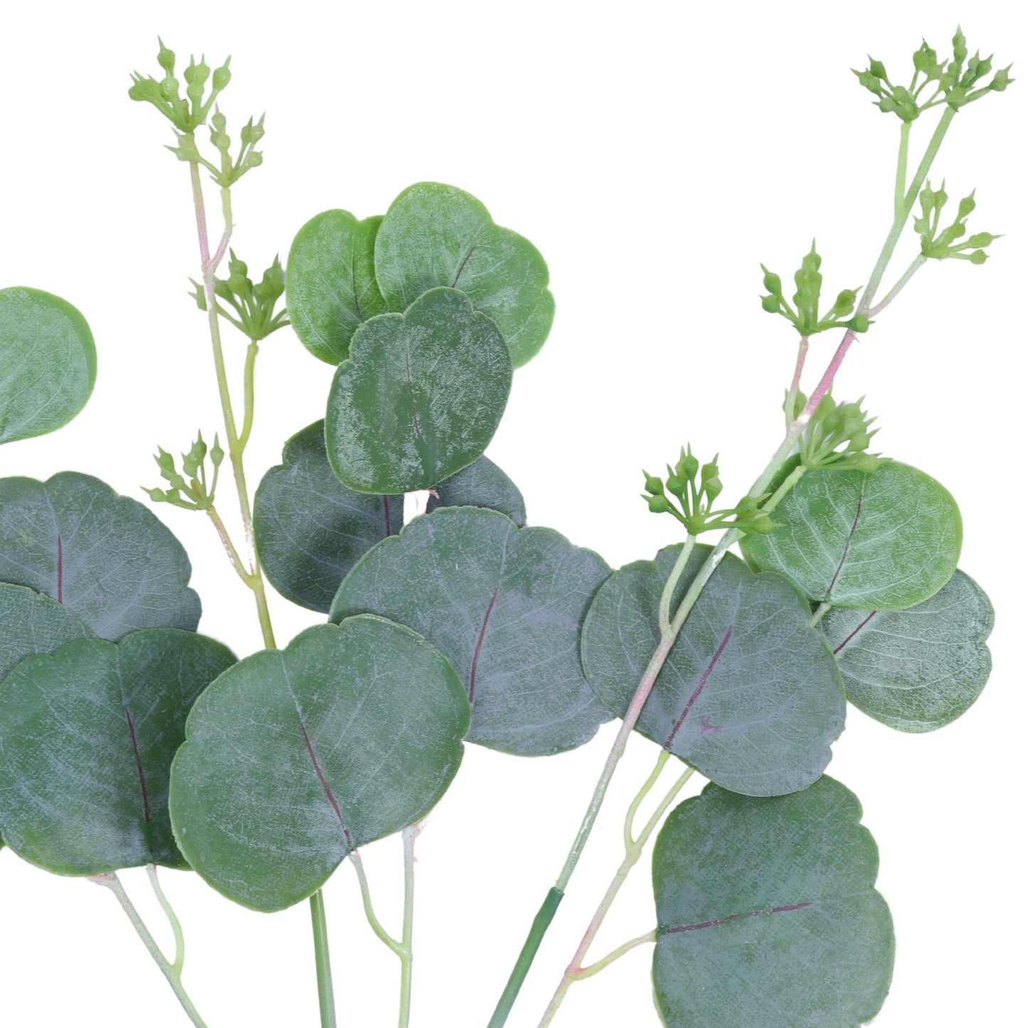 19.5″ Seeded Cotinus Bundle