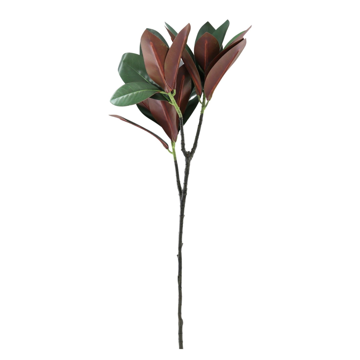 35" Magnolia Leaf Spray