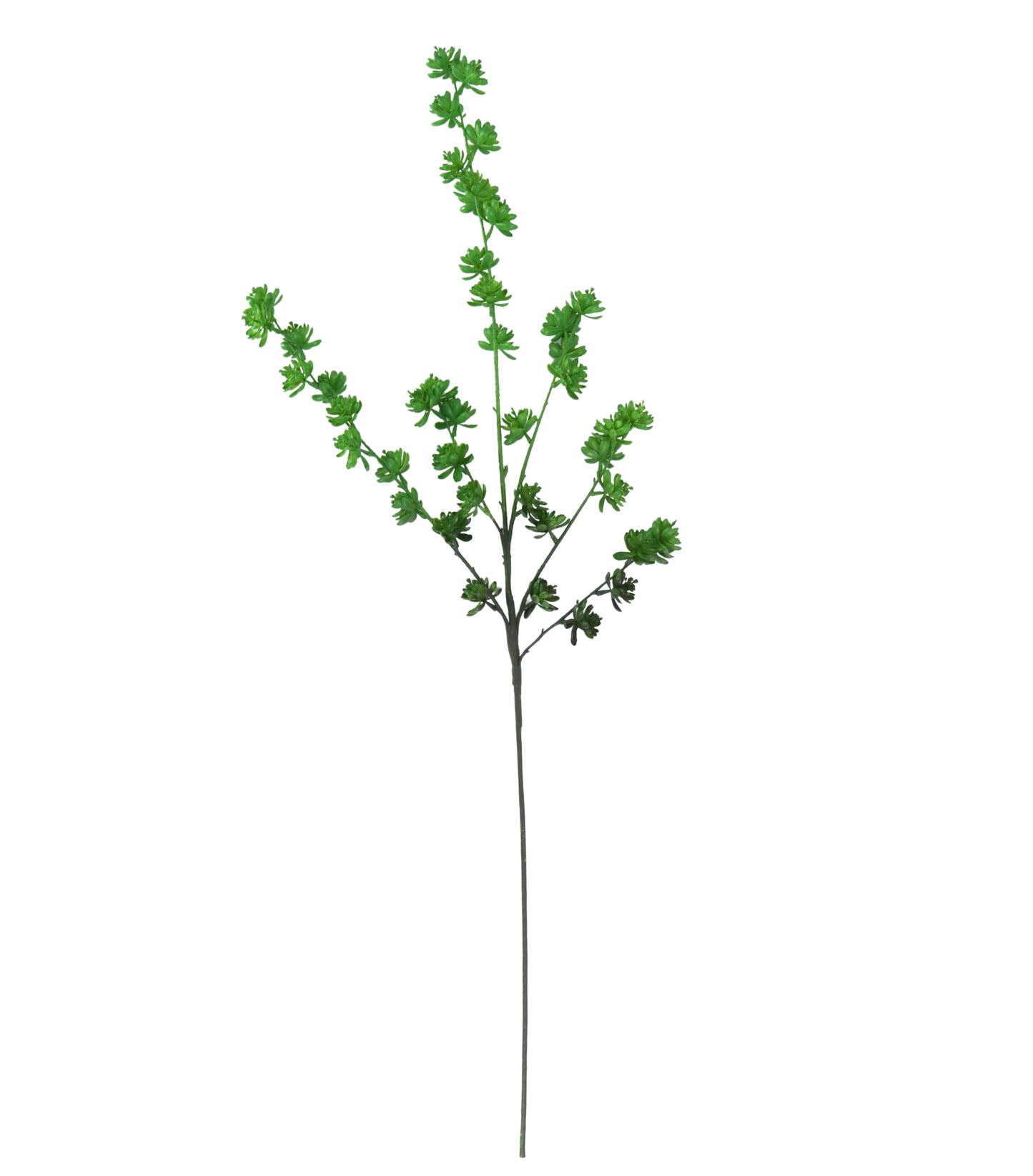 42" Green Succulent Stems