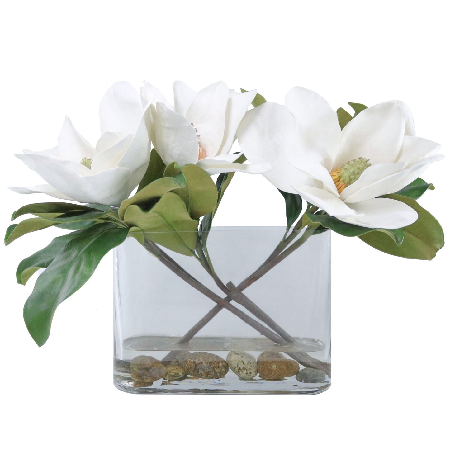 White Magnolia Blossom in Glass