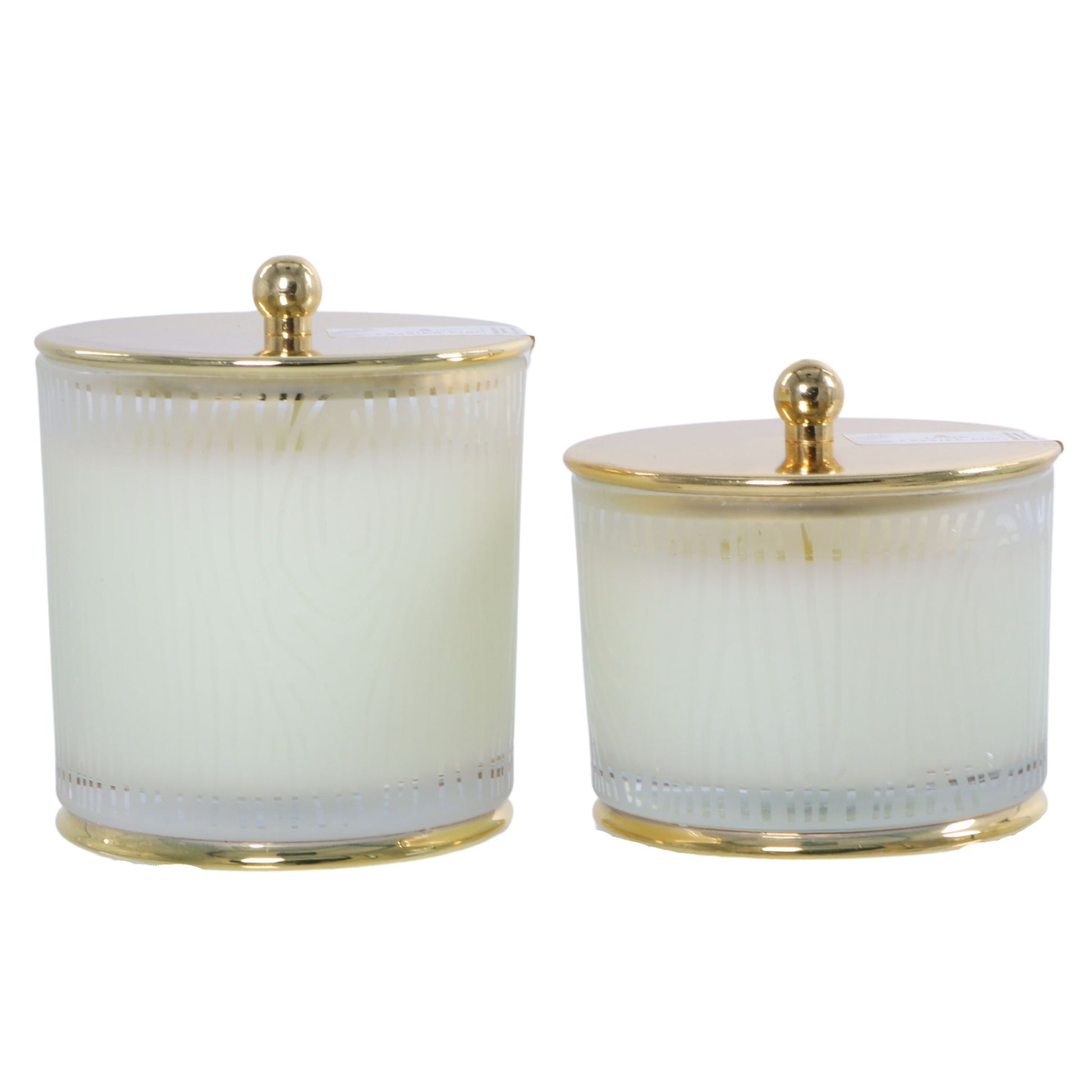 Frasier Fir Gold 3-Wick Candle | Thymes