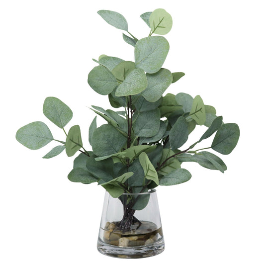 Eucalyptus in Glass Vase