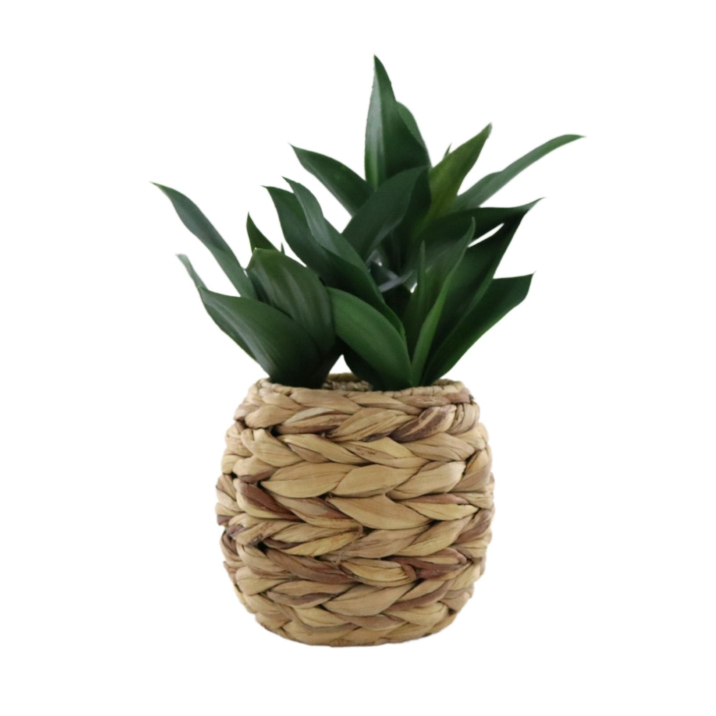 Faux Leafy Plant in Woven Planter