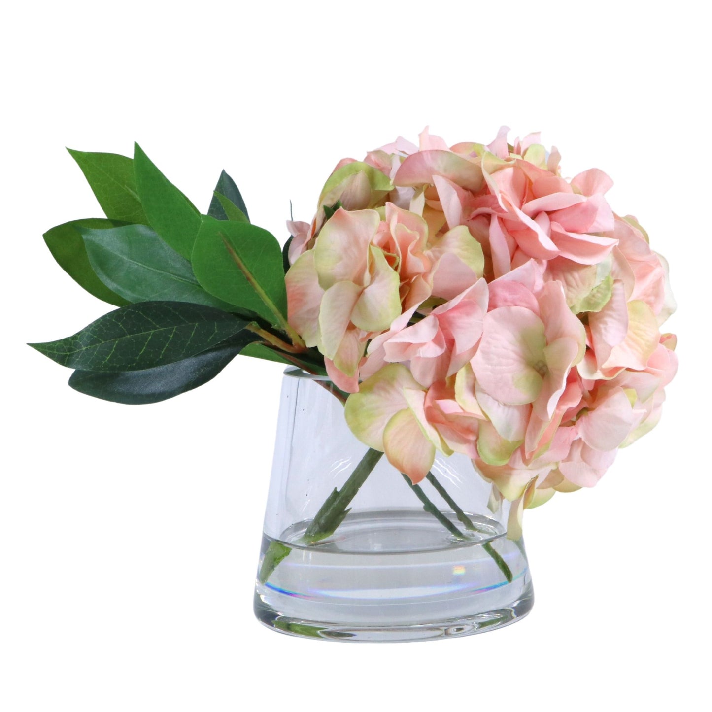 Blush Hydrangea in Vase