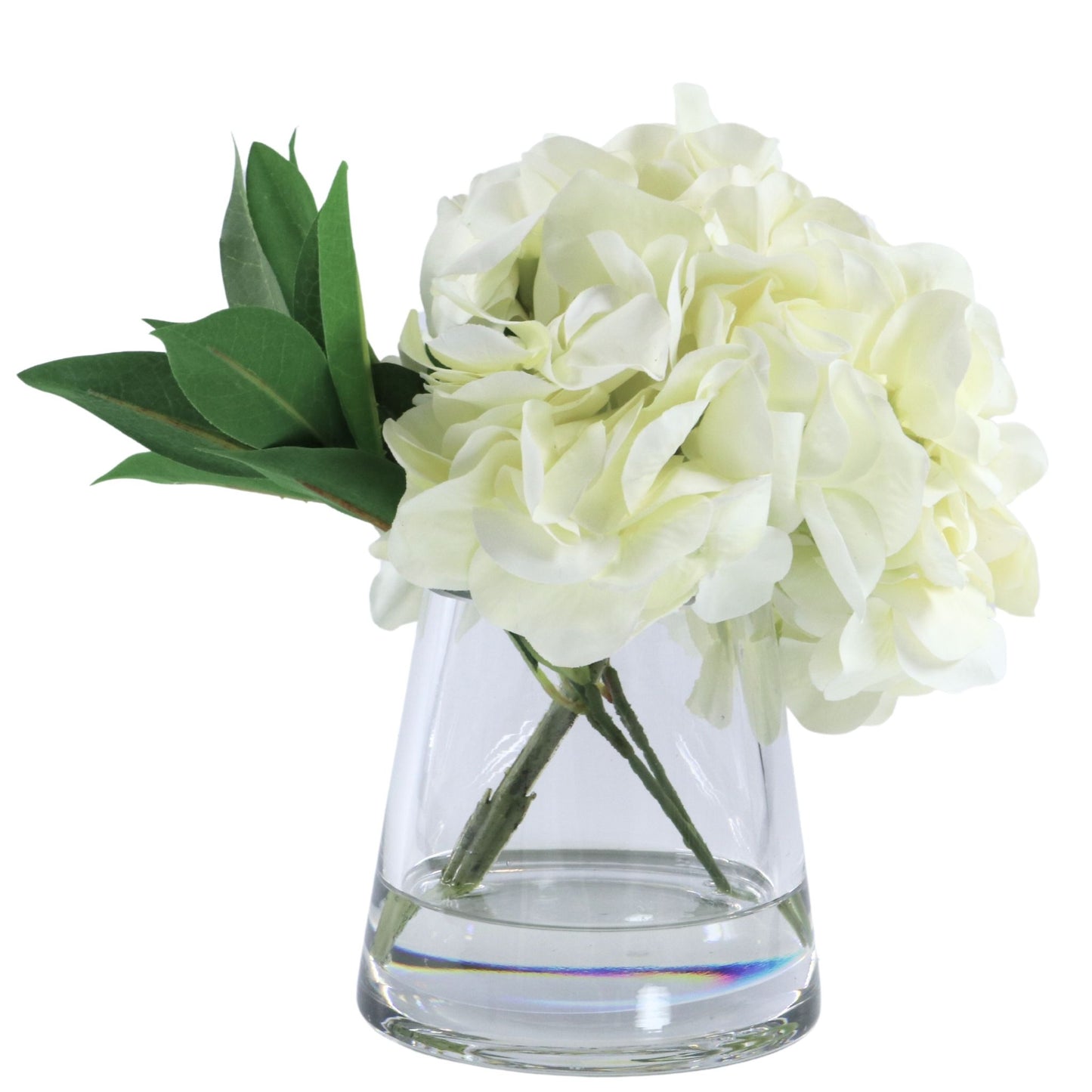 White Hydrangea in Vase