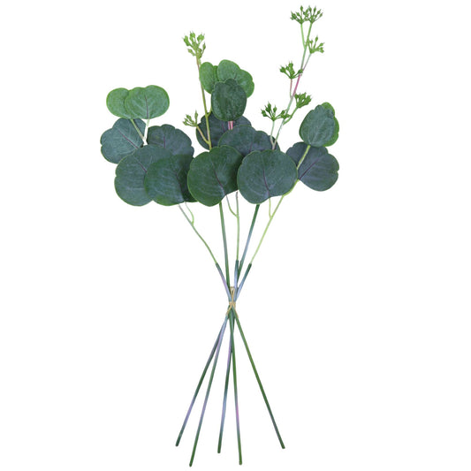 19.5″ Seeded Cotinus Bundle