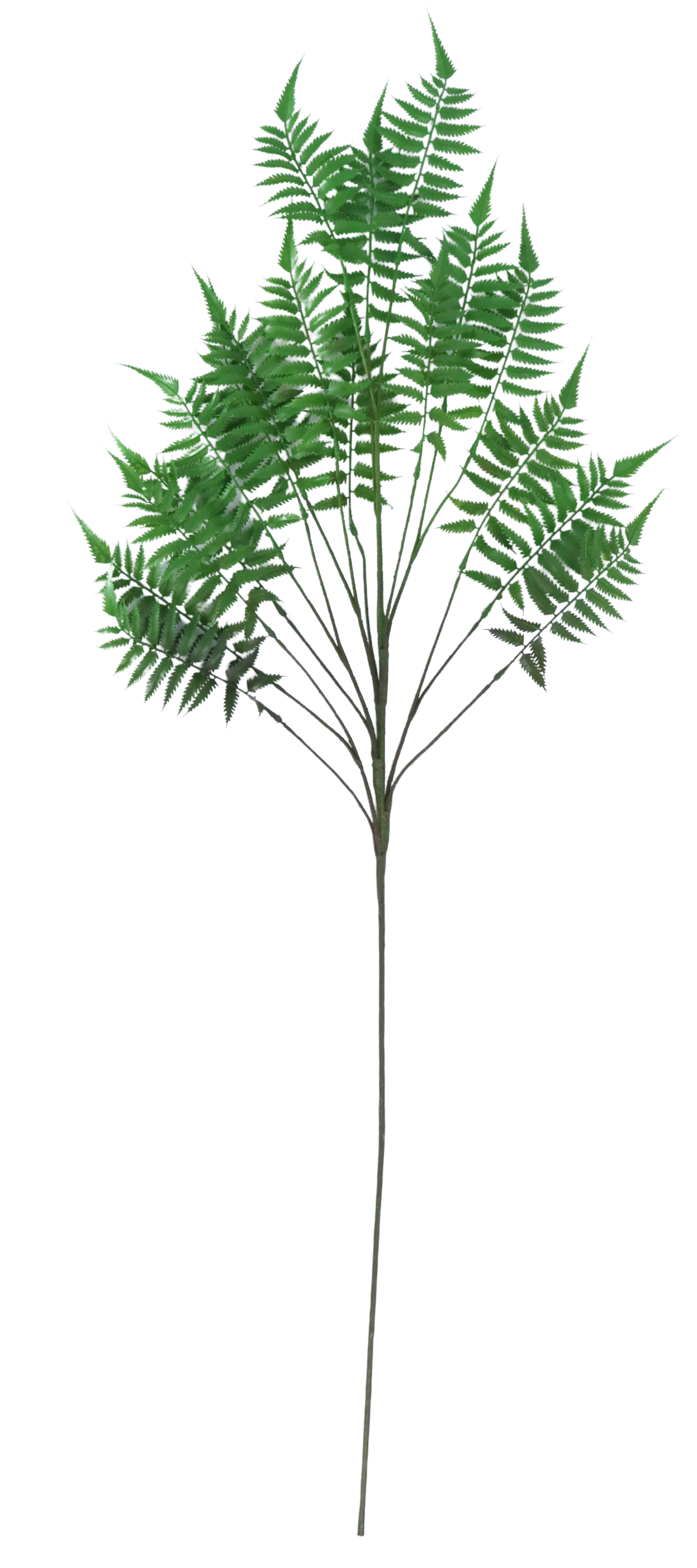 46" Real Touch Lady Fern Stem