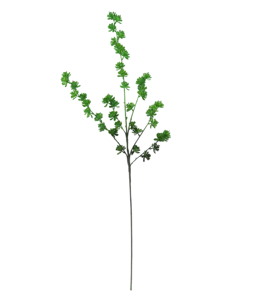 42" Green Succulent Stems