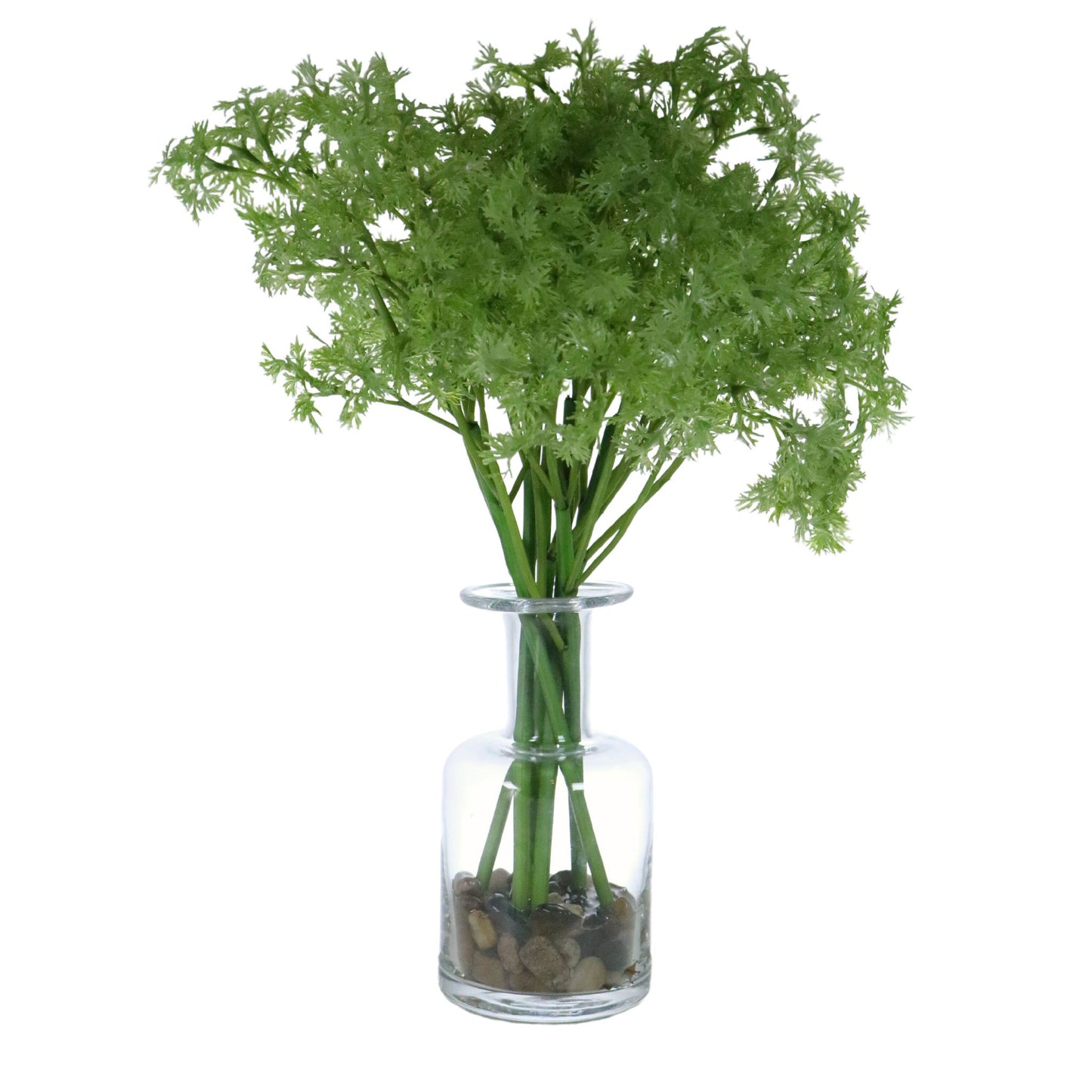 Kitchen Herb in Glass Vase